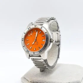 Philip Watch Aquatica 2000 — foto dell’esemplare MASSA SHW